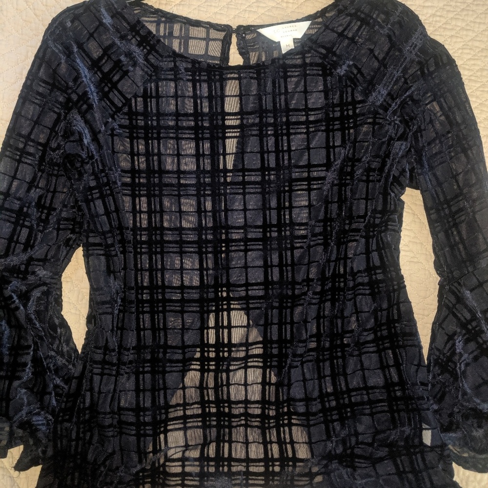 Sheer Blouse